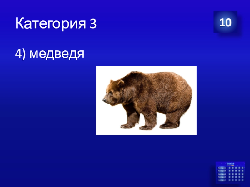 Медведи категории. 10 Медведей. 4 Medvedya line puzel.