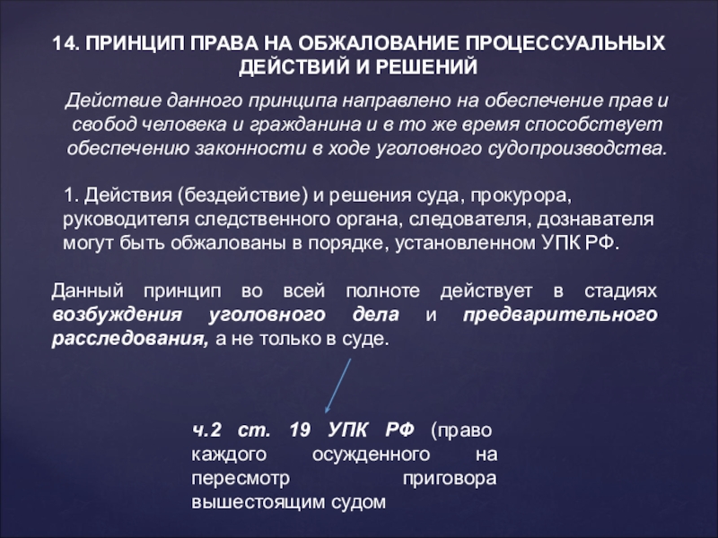 Принципы уголовного судопроизводства презентация