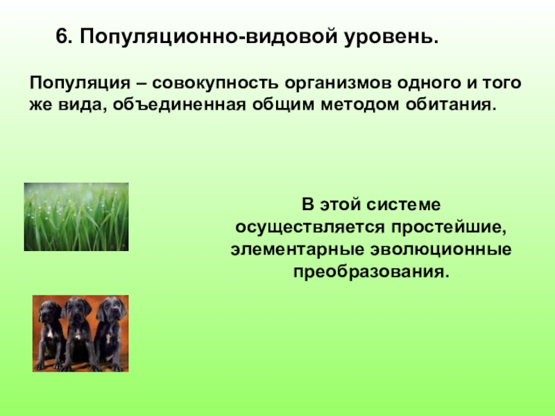 Особенности популяционно видового уровня жизни 10 класс биология презентация пономарева