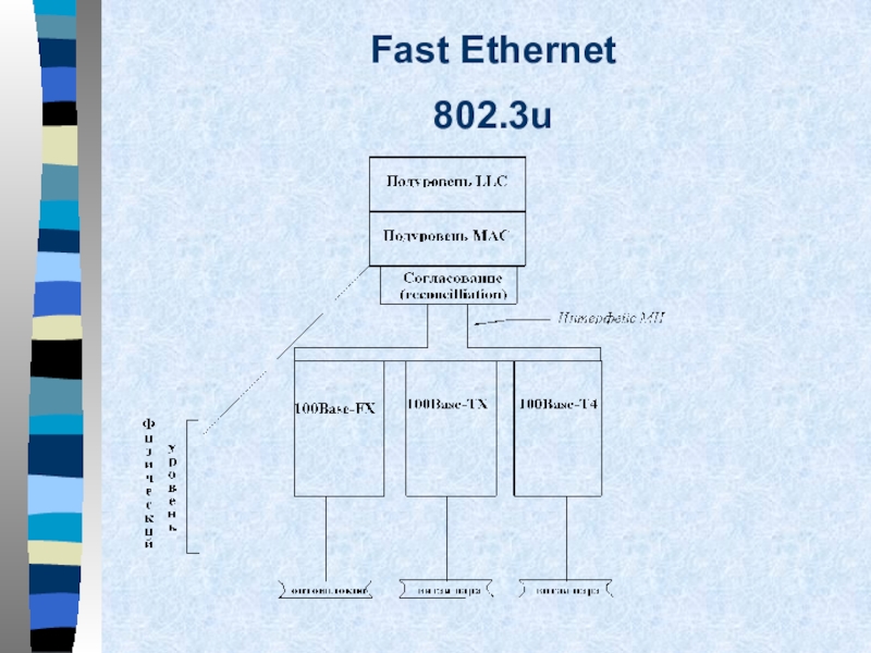 Сеть fast ethernet. Технология fast Ethernet. Fast Ethernet 802.3u;.