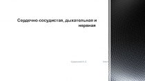 Сердечно-сосудистая, дыхательная и нервная