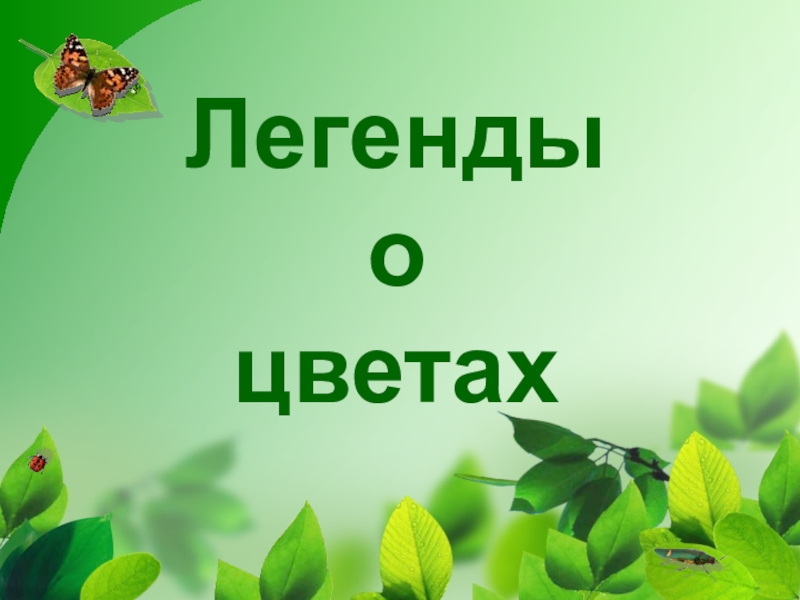 Презентация Легенды о цветах