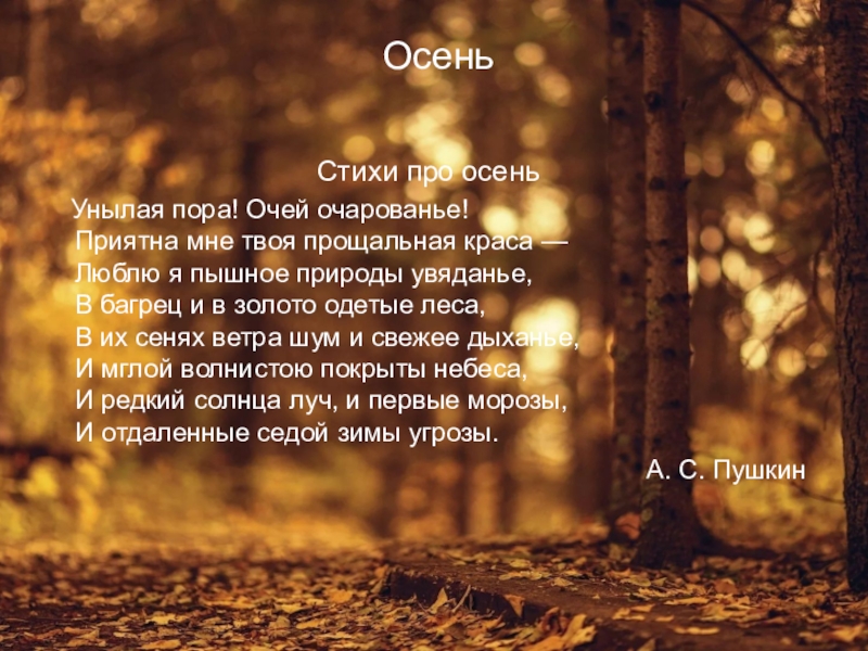 Пушкин люблю природы увяданье. Стас просто класс стихи осень.