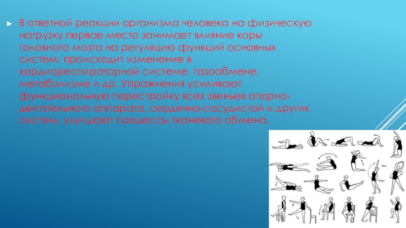 Реакция организма на физические нагрузки. Ответная реакция организма человека на физическую нагрузку.. Реакция дыхательной системы на физические нагрузки. Реакция на физическую нагрузку системы дыхания.