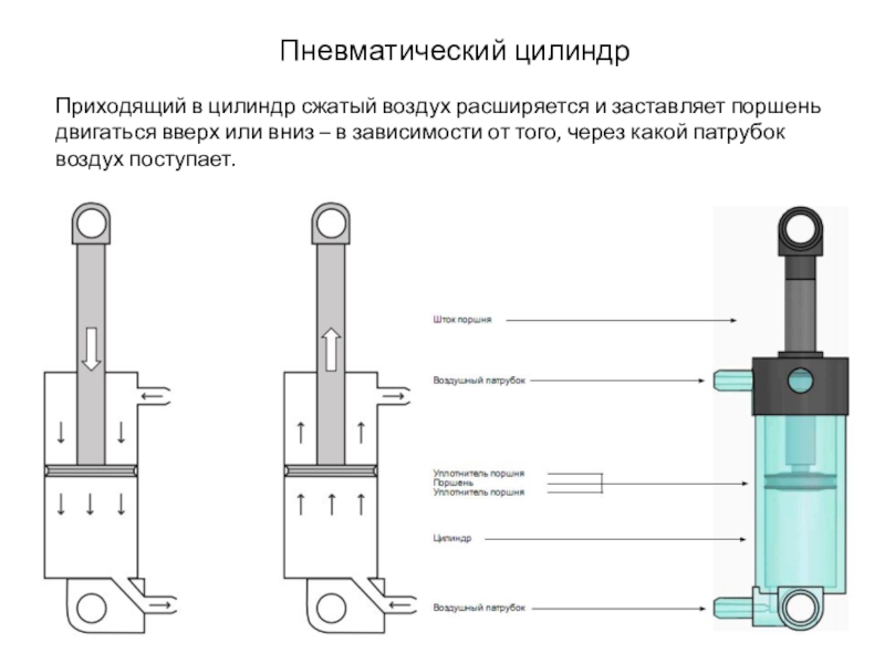 Цилиндр сжатия