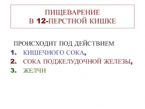 ПИЩЕВАРЕНИЕ В 12-ПЕРСТНОЙ КИШКЕ