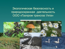 Экологическая безопасность и природоохранная деятельность ООО Газпром трансгаз