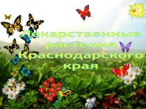 Лекарственные
р астения
Краснодарского
края