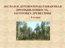 ЛЕСНАЯ И ДЕРЕВООБРАБАТЫВАЮЩАЯ ПРОМЫШЛЕННОСТЬ. ЗАГОТОВКА ДРЕВЕСИНЫ
6