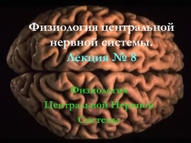 Физиология центральной нервной системы. Лекция № 8