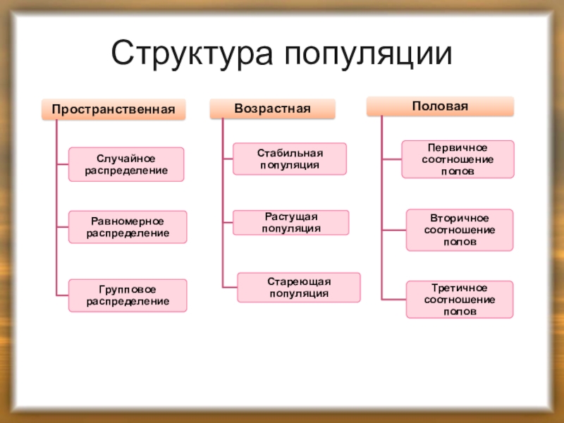 Схема свойства популяции