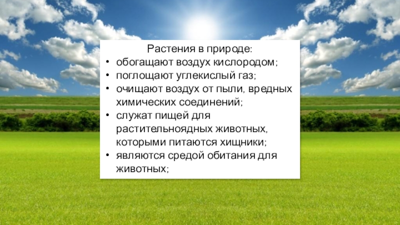 Насыщает воздухом. Обогащают воздух кислородом. Растения обогащают воздух. Растения насыщают воздух углекислым газом. Растения обогащают атмосферу кислородом.