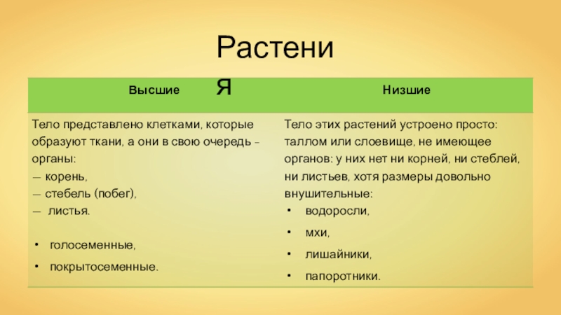 Ниже травы. Разнообразие распространение значение растений. Разнообразие распространение значение растений 5 класс биология. Разнообразие распространение значение растений 6 класс биология. Разнообразие распространение значение растений таблица.