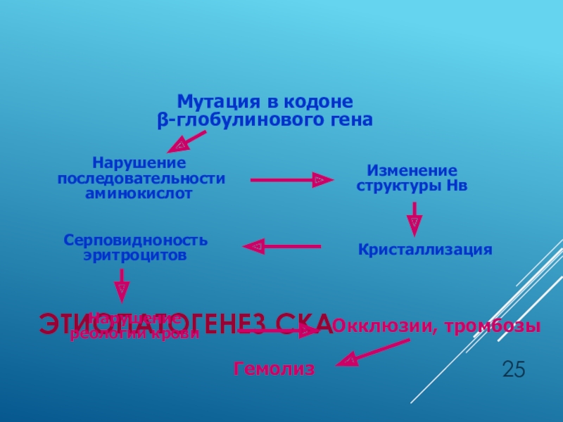 Нарушение последовательности аминокислот. Этиопатогенез. Этиопатогенез Эд. Принцип схемы структуры бета-глобулинового Гена.