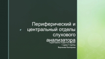 Периферический и центральный отделы слухового анализатора