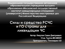 Федеральное государственное автономное образовательное учреждение высшего