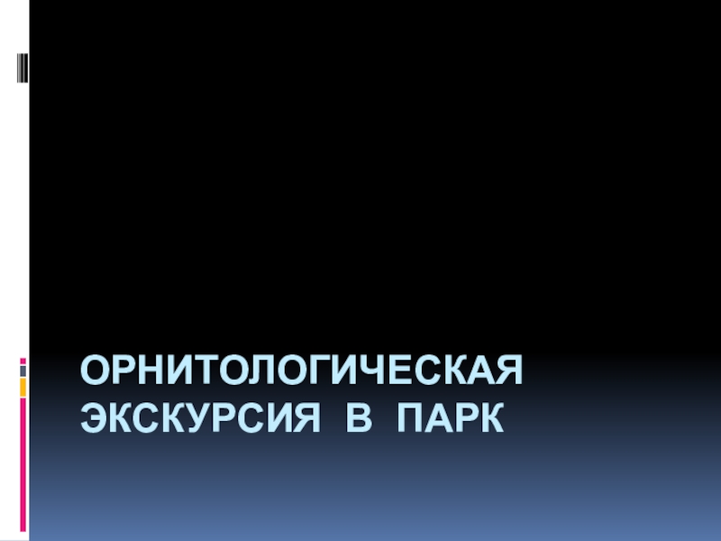 Презентация Орнитологическая Экскурсия в парк