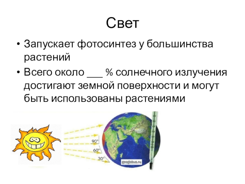 Общее количество радиации достигающей поверхности земли называется. Солнечный свет достигает земной поверхности. Все солнечное излучение достигающее земной поверхности называется. Большинство растений это использующие энергию света.