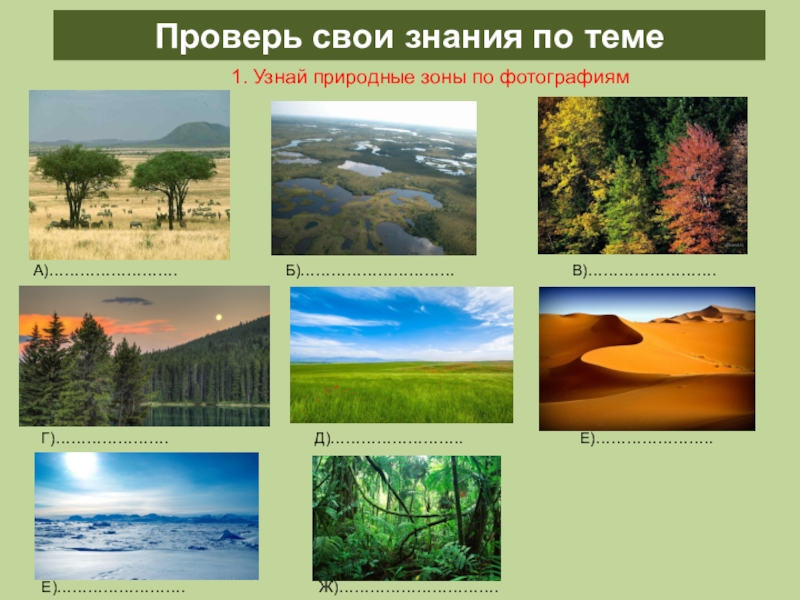 Фотографии разных природных зон