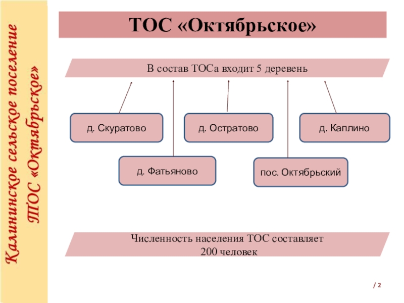 Дер численность. Состав TOS. Кто входит в состав Тоса.