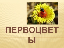 первоцветы