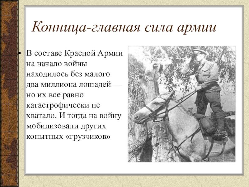 Конница-главная сила армииВ составе Красной Армии на начало войны находилось без малого два миллиона лошадей — но их все