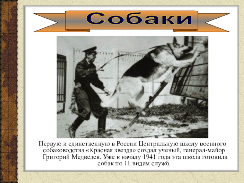 Первую и единственную в России Центральную школу военного собаководства «Красная звезда» создал ученый, генерал-майор Григорий