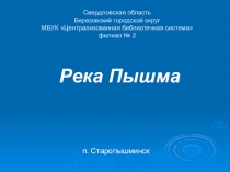 Свердловская область Березовский городской округ МБУК Централизованная