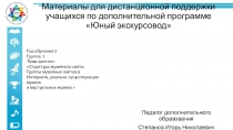 Материалы для дистанционной поддержки учащихся по дополнительной программе