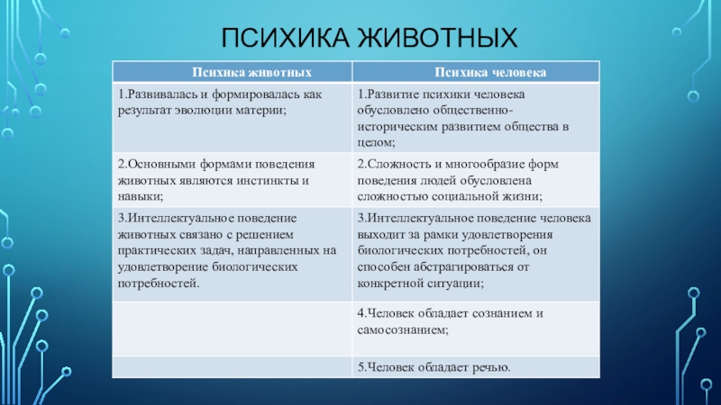 Психика человека отличается от психики животного. Психика животных и человека. Виды психики у животных. Психика человека и животного. Сравнение психики человека и животных.