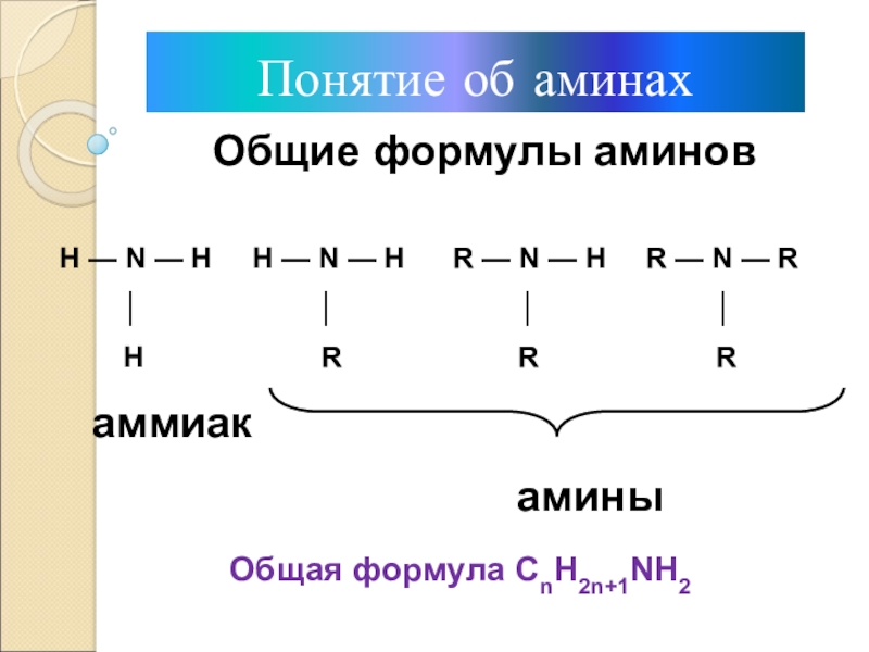 Понятие об аминах          Общие формулы аминовН — N