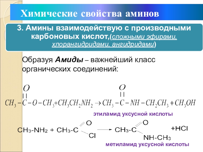 Химические свойства аминовОбразуя Амиды – важнейший класс органических соединений:этиламид уксусной кислотыметиламид уксусной кислоты