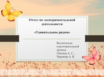 Воспитатели подготовительной группы:
Томзина А. С.,
Черняева А. В.
Отчет по