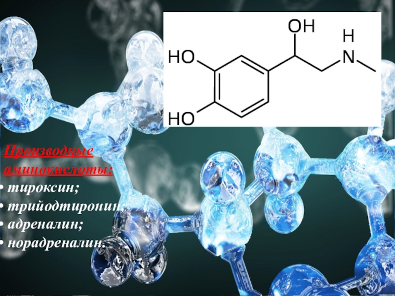 Производные аминокислот гормоны фото