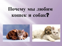 Почему мы любим кошек и собак?