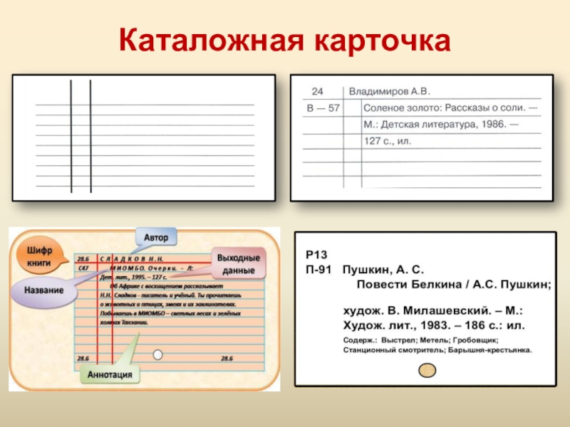 Карточки в библиотеке образец