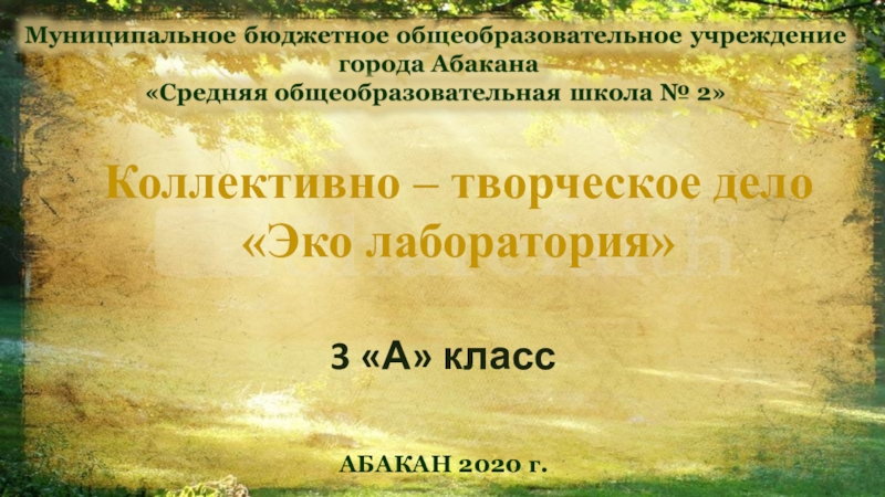 АБАКАН 2020 г.
Коллективно – творческое дело
Эко лаборатория
3 А класс