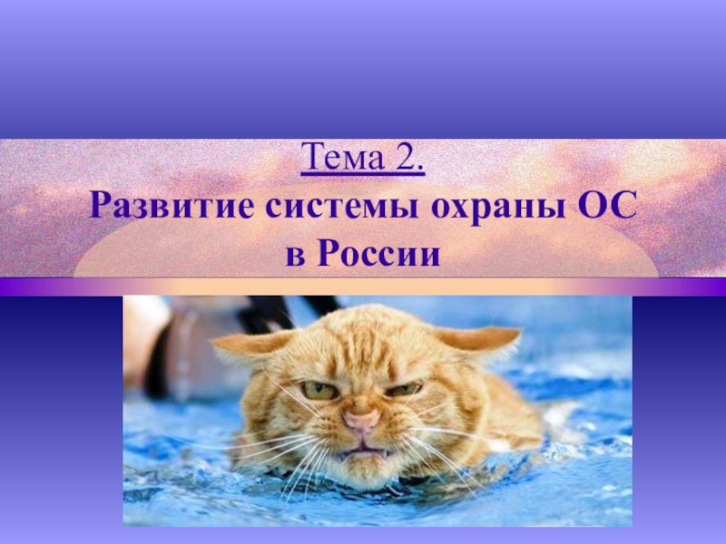 Тема 2. Развитие системы охраны ОС в России