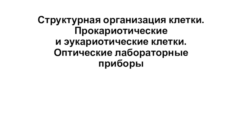 Презентация Структурная организация клетки. Прокариотические и эукариотические клетки