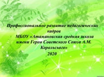 Профессиональное развитие педагогических кадров МБОУ Атамановская средняя