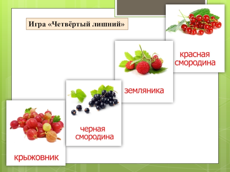 Презентация ягоды старшая группа