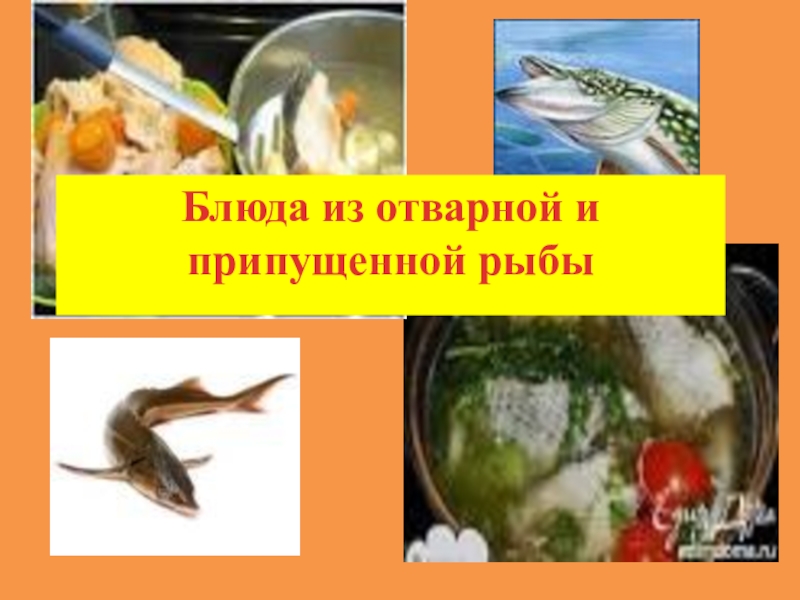 Блюда из о тварной и припущенной рыбы