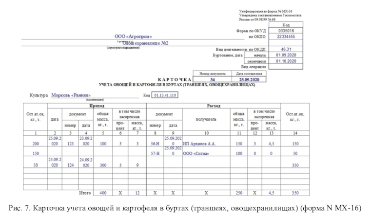 Отчетная документация. МХ-16 форма. Карточка учета овощей и картофеля в буртах. Составление отчетной документации. Оформление первичной учетно-отчетной документации..