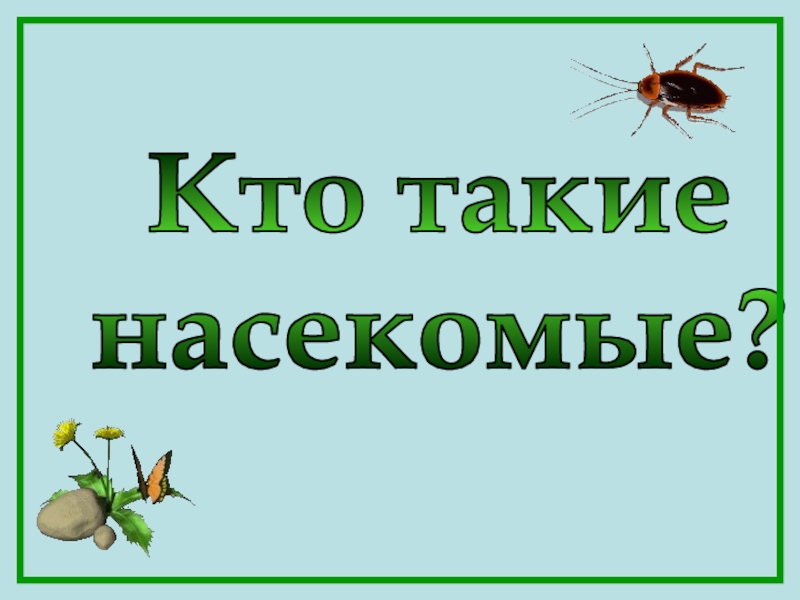 Презентация Кто такие
насекомые?