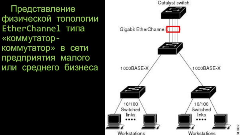 Средние сети. Физическая топология сети с коммутаторами. Коммутатор топология. Физическое представление топологии. Виды свитчей.