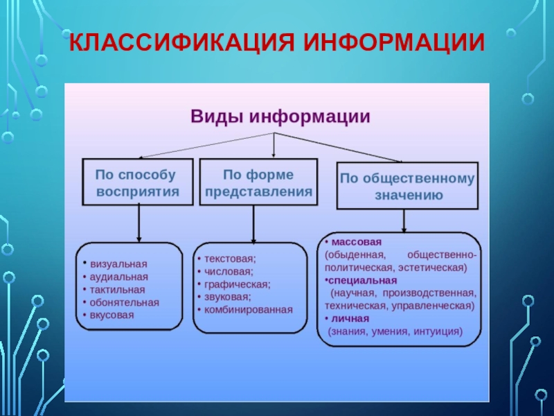 По каким основным сферам деятельности делятся проекты выберите один или несколько ответов