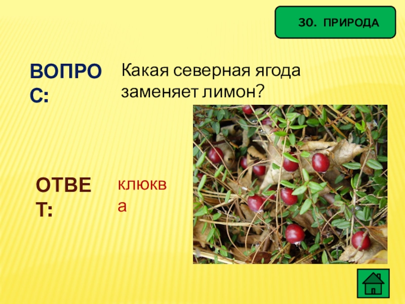 Сев какая. Северные ягоды презентация. Какая ягода заменяет лимон. Какая ягода заменяет лимон Северная. Объясни выражение ожерельем рассыпана клюква ответ.