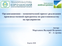 Организационно - экономический проект реализации производственной программы по