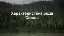 Характеристика рода Сосны