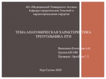 Тема:Анатомическая характеристика треугольника Пти